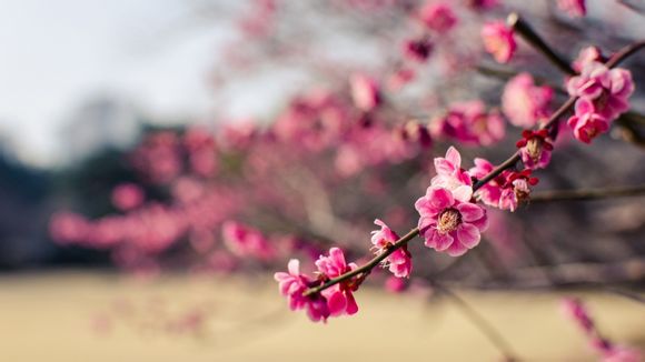 海口属于什么经济圈